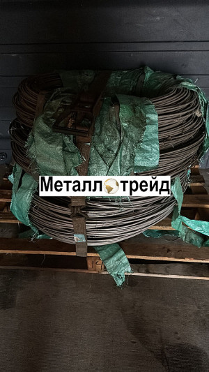 Проволока нержавеющая EN 10270-3 1.4310 AISI 302 1,6 мм